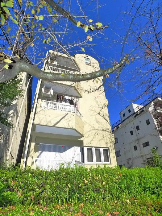 外観写真 ハウスミロンガ