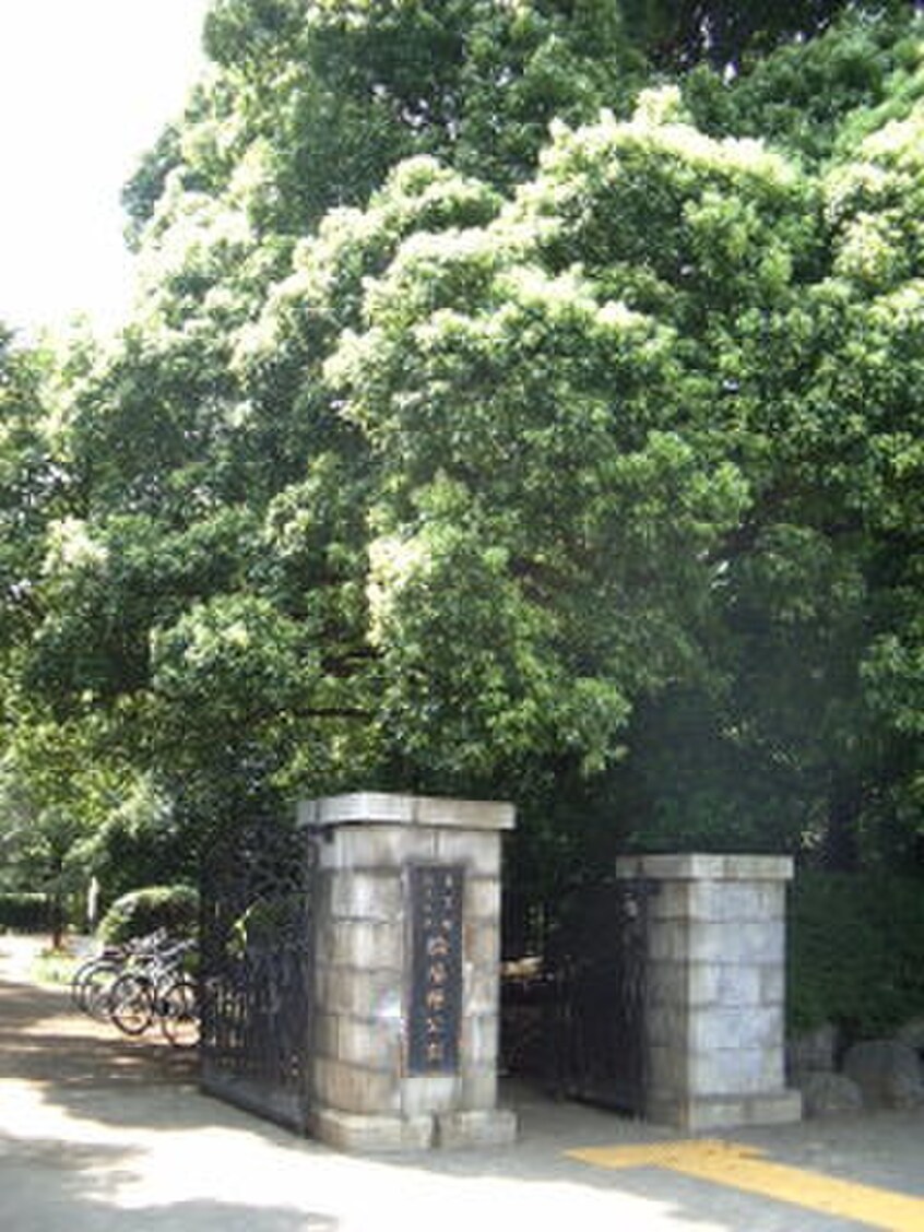 駒場野公園(公園)まで600m ルージュ駒場