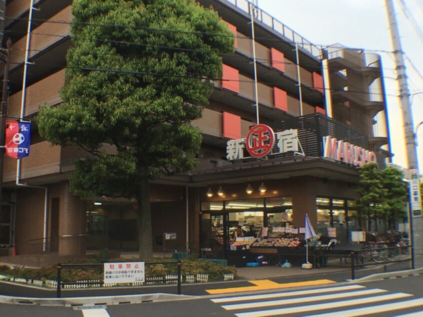 丸正　武蔵野台駅前店(スーパー)まで350m エクレール白糸台