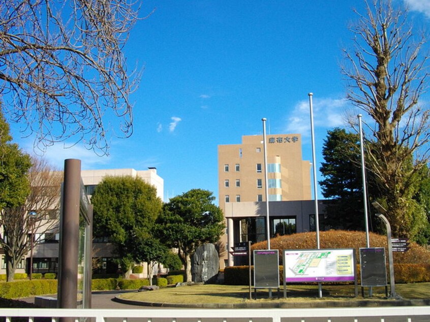 麻布大学(大学/短大/専門学校)まで1100m ファーストサイト富士見