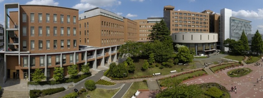 桜美林大学(大学/短大/専門学校)まで2800m ファーストサイト富士見