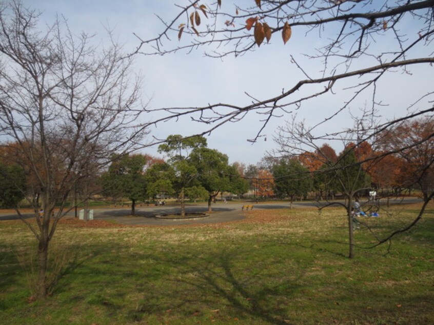 舎人公園(公園)まで200m 広喜ハイツ