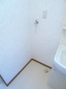 洗濯機置場 染谷ハイツⅡ