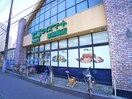 ワイズマート(スーパー)まで592m Frontire