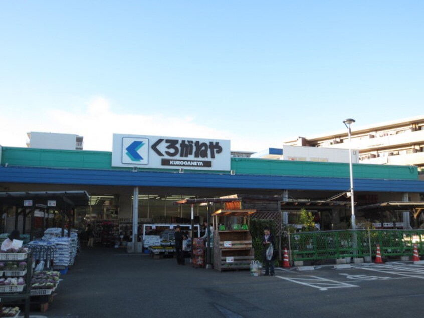 くろがねや(電気量販店/ホームセンター)まで750m ツインコ－ト多摩川