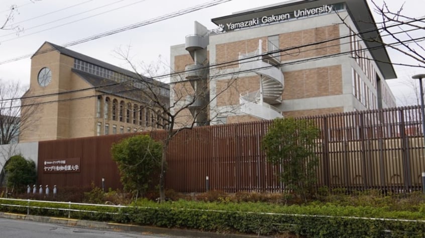 ヤマザキ動物看護大学 南大沢キャンパス(大学/短大/専門学校)まで1122m クレ－ル四季彩の丘参番館