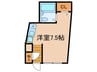 ハイツカサイ 1Rの間取り
