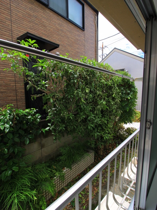 室内からの展望 プラザ望月