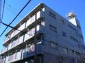 完成写真