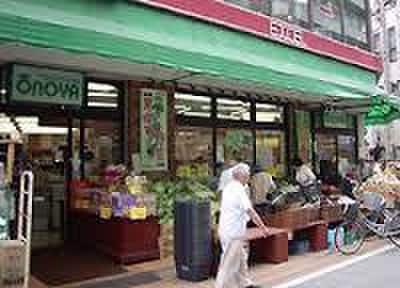 大野屋　元住吉店(スーパー)まで330m ロディオドライブ１