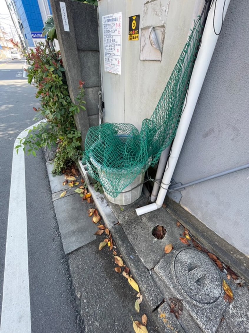 その他 パインクレスト