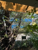 周辺環境 パインクレスト