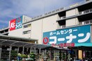 ホ－ムセンタ－コ－ナン保土ヶ谷星川店(電気量販店/ホームセンター)まで1100m パナハイツ桜ヶ丘