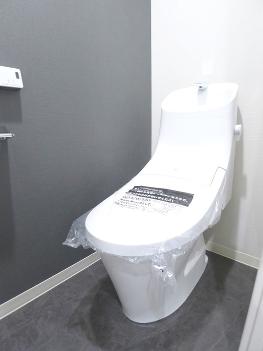 トイレ Brilliant View Central Park