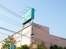 ニトリ 秦野店(電気量販店/ホームセンター)まで56m アイルトンハウス