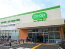 コープ(スーパー)まで550m 泉コーポ