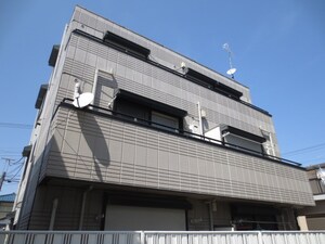 クレスト エンドウ
