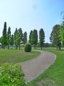 辰巳の森公園(公園)まで1287m 梓荘アパート