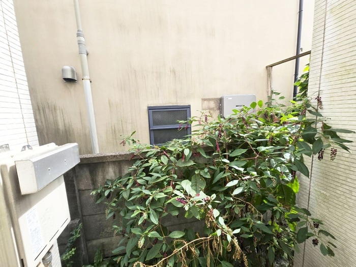 室内からの展望 ウィンズ・パレ永福町