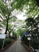 亀戸緑道公園(公園)まで104m メゾンド・ポワ－ルKAMEIDO