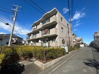 りぶいんしらゆり星1