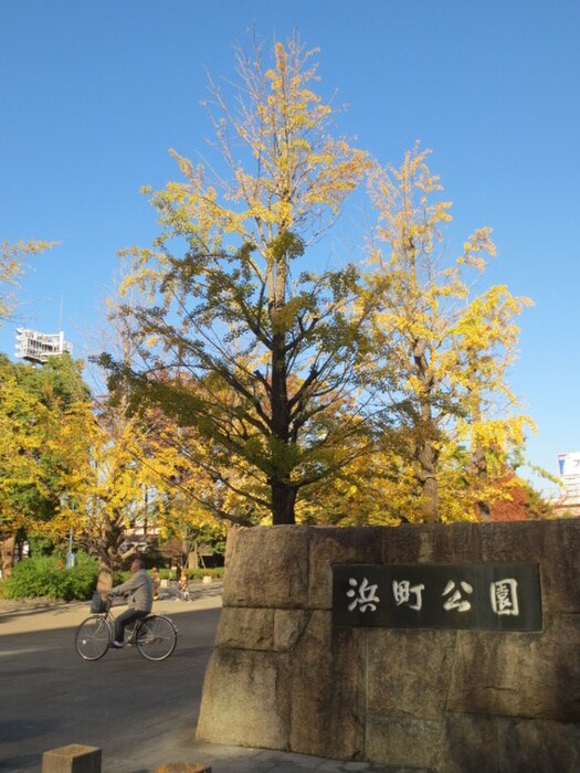 浜町公園(公園)まで500m パ－クハビオ人形町