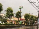 サイゼリア町田金井店(その他飲食（ファミレスなど）)まで2300m ベルドミール鶴川
