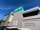 ニトリ入間店(電気量販店/ホームセンター)まで500m ＤモンドⅡ