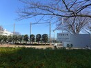 戸塚東公園(公園)まで100m オハヨーハイツ