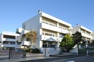 横浜市立東永谷中学校(中学校/中等教育学校)まで550m ホワイトレジデンス・サチ