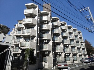 ﾗｲｵﾝｽﾞﾏﾝｼｮﾝ中央林間第１０(204)