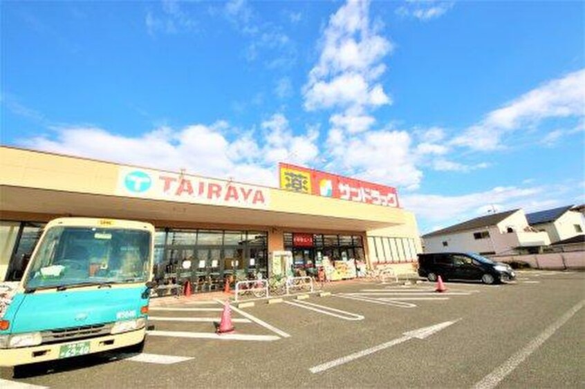 エコス　TAIRAYA　中神店(スーパー)まで991m グリーンシティ銀