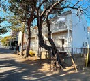 外観写真 ベルビュー茅ヶ崎壱番館