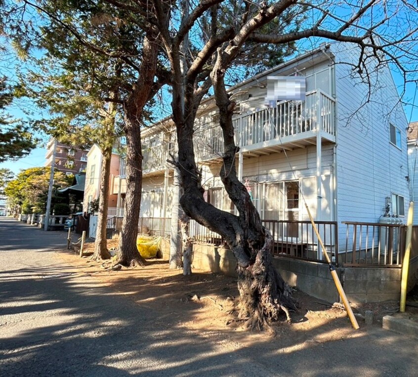外観写真 ベルビュー茅ヶ崎壱番館