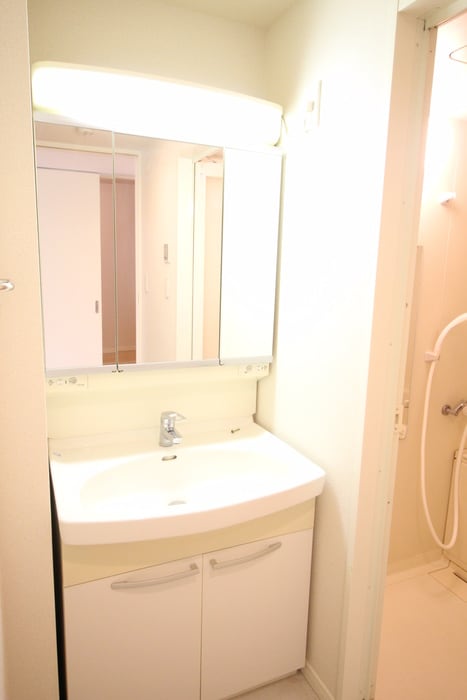 洗面 グラヴィエ