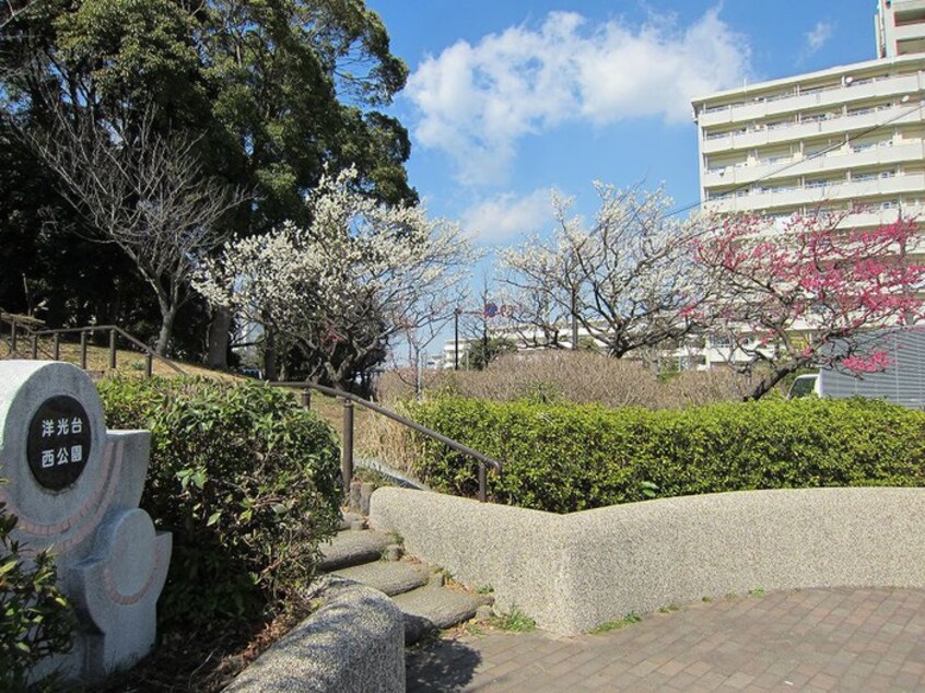 洋光台西公園(公園)まで700m タウンシャトル