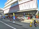 オオゼキ(スーパー)まで443m ザ・パークワンズ門前仲町(803)