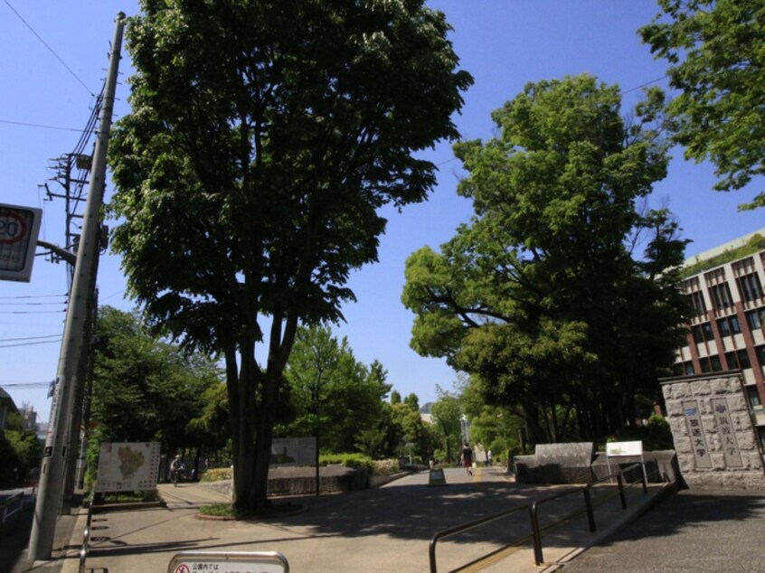 教育の森公園(公園)まで650m ハイツ竹早