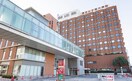 東京女子医科大学(病院)まで133m ハーモニーレジデンス新宿河田町