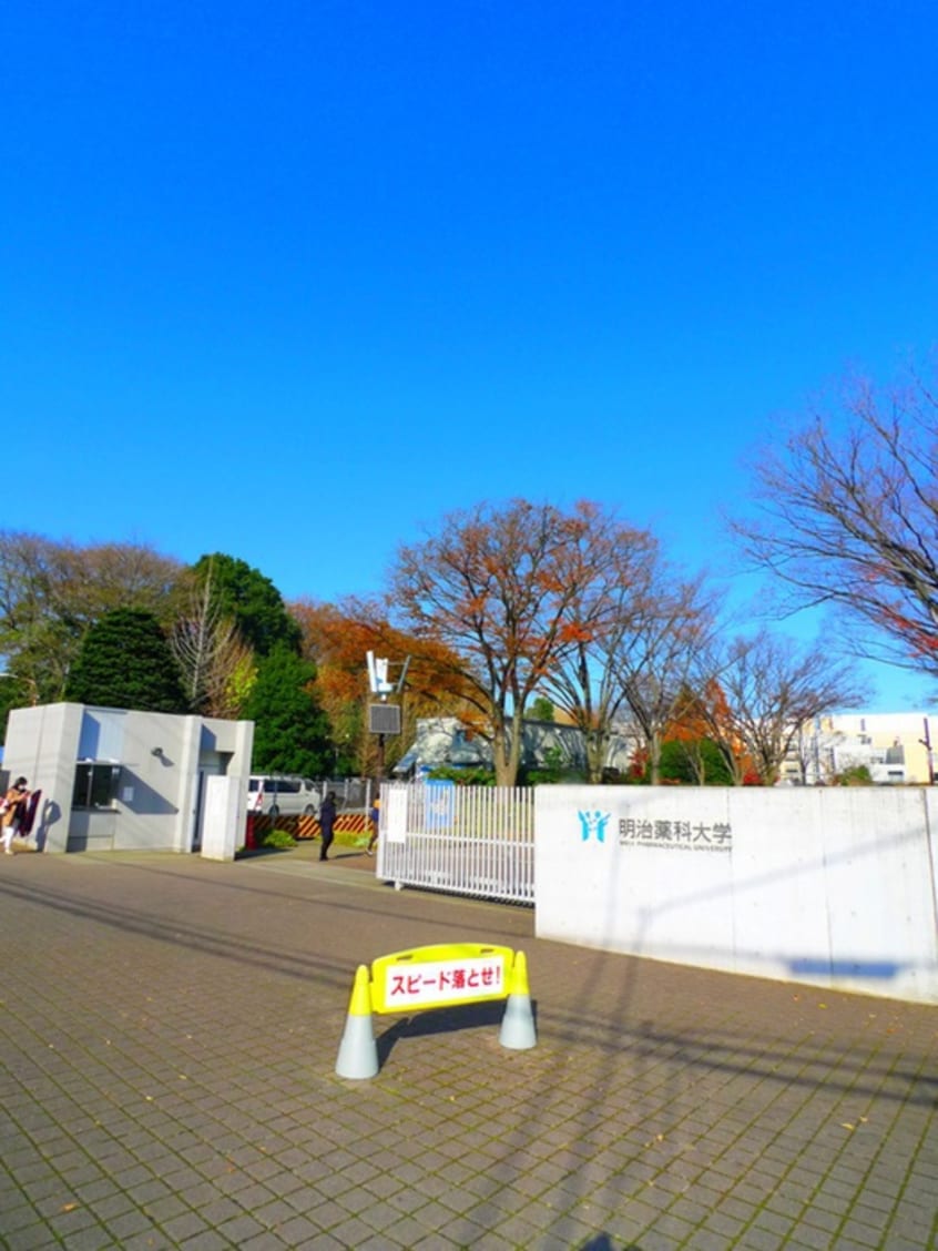明治薬科大学(大学/短大/専門学校)まで1000m クレールコート秋津