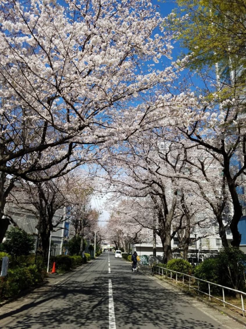周辺環境 所沢コーポラスB棟（1010）