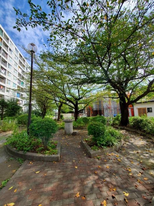 公園(公園)まで50m 所沢コーポラスB棟（1010）