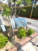 外観写真 ルチアーノ南雪谷