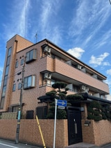 フジハイコート