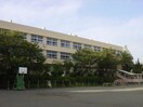 三浦市立名向小学校(小学校)まで726m マリーノエル三崎