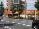 ココカラファイン川崎四谷上町店(ドラッグストア)まで380m ベイルーム川崎大師橋