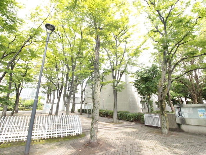 大学(大学/短大/専門学校)まで598m コ－ポラスオオヌマ