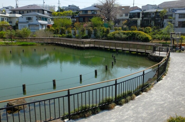 小池公園(公園)まで330m Ｓｏｌｉｄ上池台