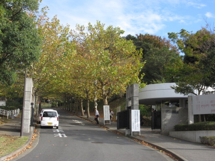 明治学院大学横浜キャンパス正門(大学/短大/専門学校)まで696m ヒルサイドハウス