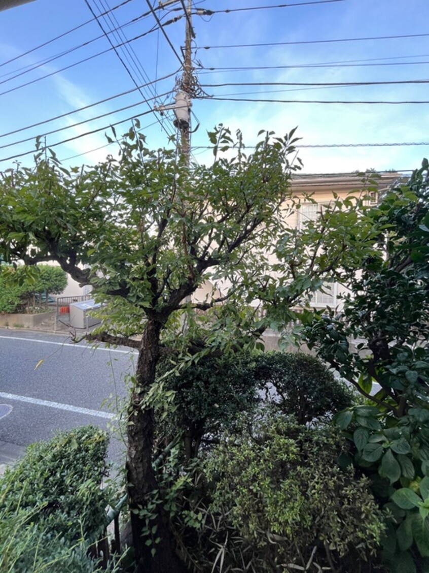 室内からの展望 ピノハウス